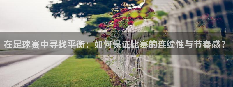 VSport胜利因你更精彩：在足球赛中寻找平衡：如何保证比赛