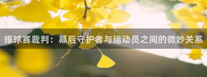 vsports属于什么档次：排球赛裁判：幕后守护者与运动员之