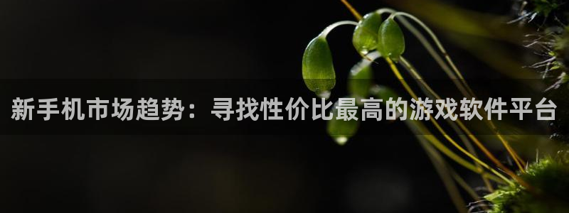 vsports下载：新手机市场趋势：寻找性价比最高的游戏软件