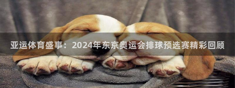 VSports官方入口：亚运体育盛事：2024年东京奥运会排