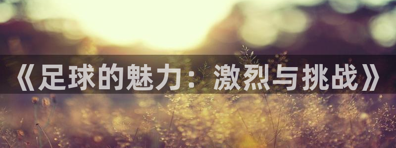 vsport体育超级版下载：《足球的魅力：激烈与挑战》
