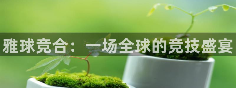 vsport体育平台app：雅球竞合：一场全球的竞技盛宴