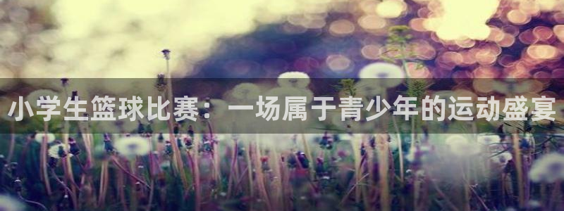 vsport体育最新消息：小学生篮球比赛：一场属于青少年的运