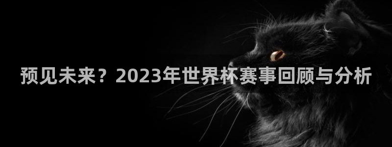  vsport体育平台app：预见未来？2023年世界杯赛事回