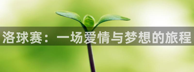 Vsports网页版登录入口：洛球赛：一场爱情与梦想的旅程