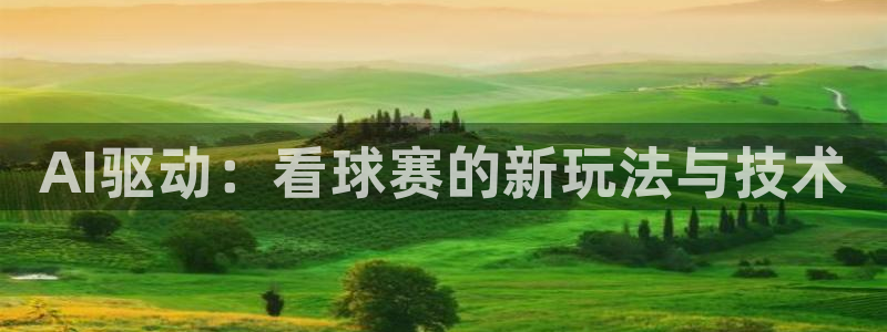 vsport体育平台app：AI驱动：看球赛的新玩法与技术